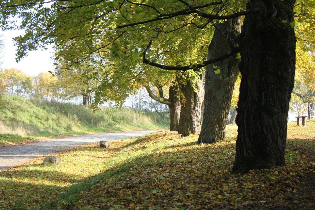 Ferienwohnung Am Weltnaturerbe Grumsin Ziehten Экстерьер фото